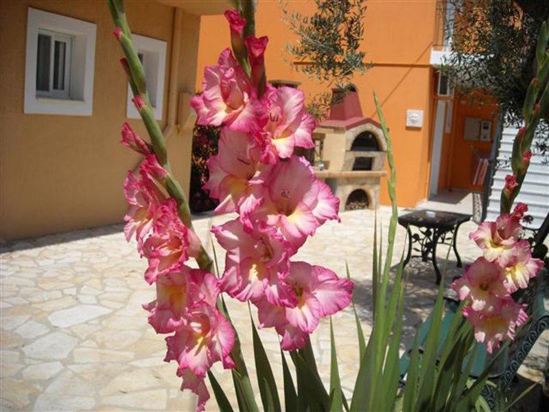 Erietta Studios Σβορωνάτα Εξωτερικό φωτογραφία
